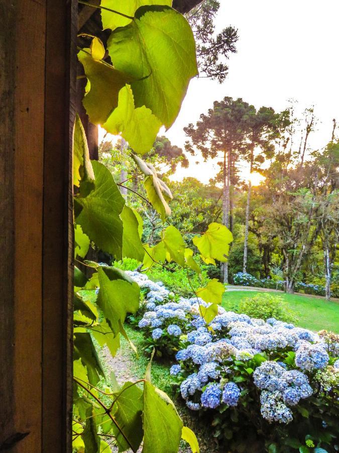 Rancho Do Lucas - Cabana E Chale Sao Bento do Sul Exterior photo